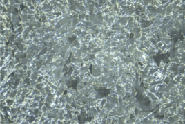 Metallography/ Metallographic sample preparation